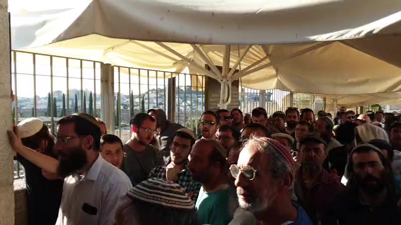 WhatsApp Video 2019-08-11 at 07.46.32
