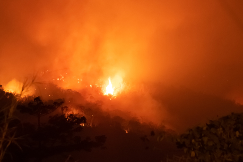 בעקבות השריפות באמזונס: 20 מיליון דולר יועברו לסיוע