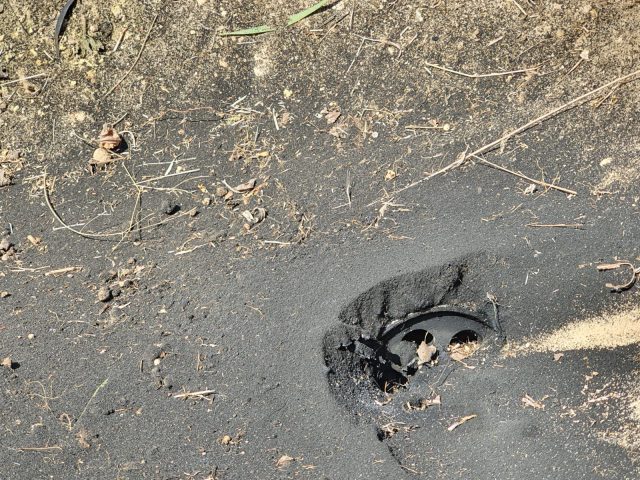 פגיעות הרקטות בשטח פתוח היום