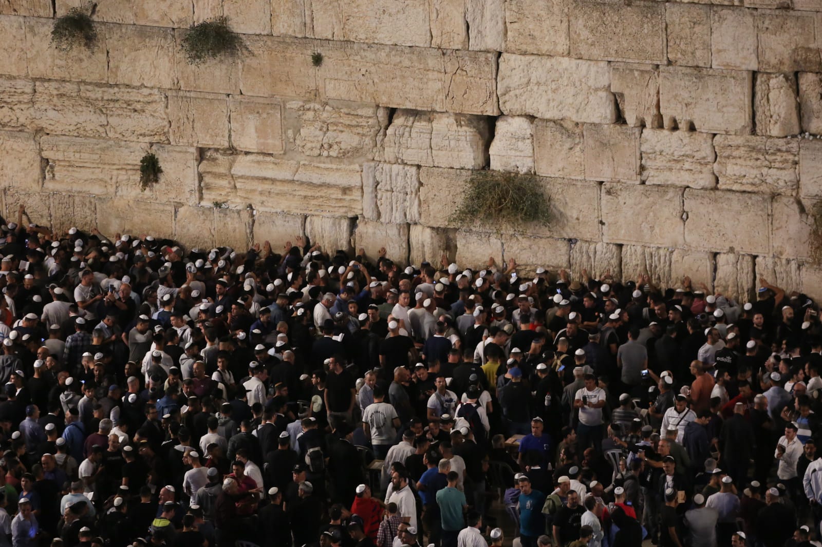 החל ממוצ"ש: קווי לילה לכותל