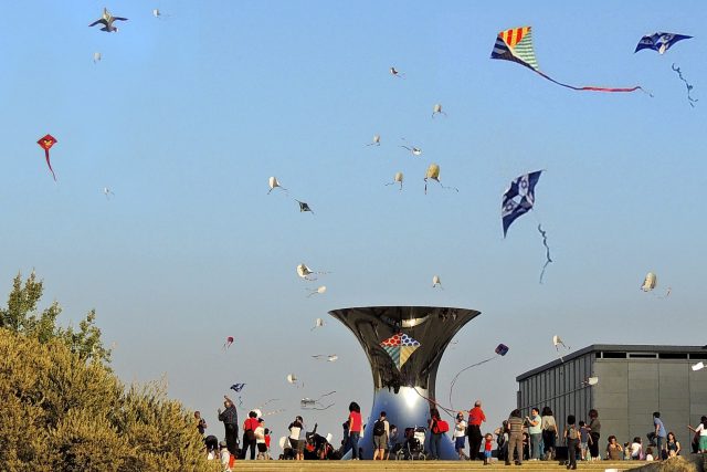 מוזיאון ישראל |