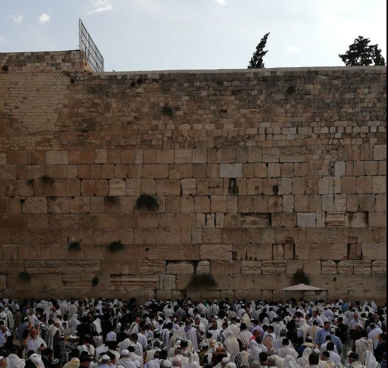 אלפים בכותל: שידור חי ממעמד ברכת הכהנים
