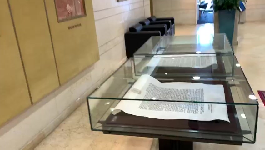 WhatsApp Video 2019-10-24 at 10.29.08