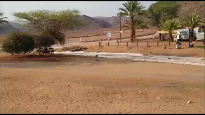 גשם בפארק תמנע איריס בל