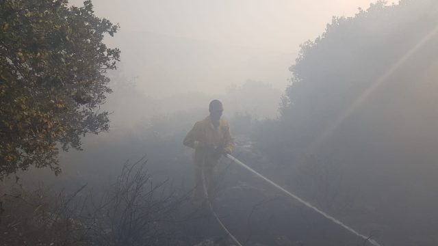 צילום באדיבות: דוברות כבאות והצלה