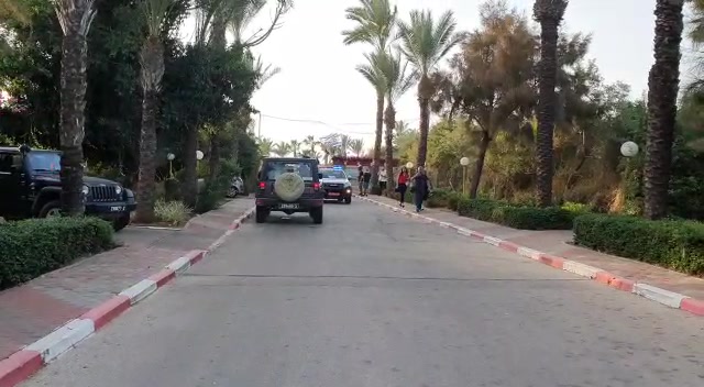 זירה אשקלון מדא מבצעי