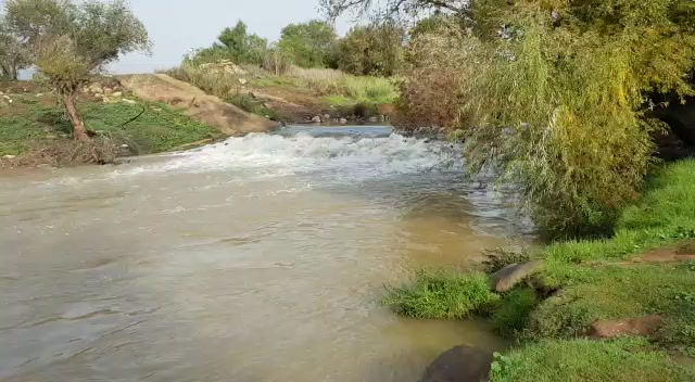 זרימות