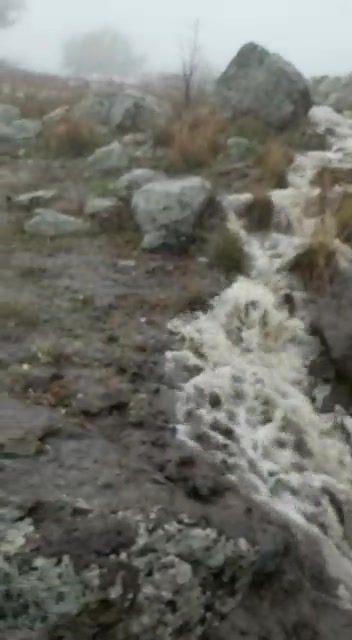 WhatsApp Video 2019-12-26 at 11.29.57