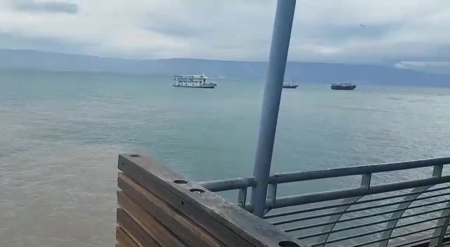 WhatsApp Video 2020-01-05 at 10.17.17