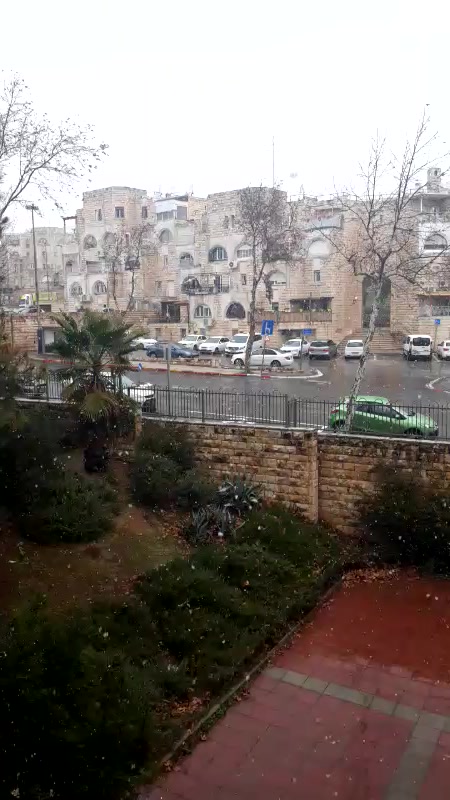 צילום דוד ספדג. מאושר לשימוש