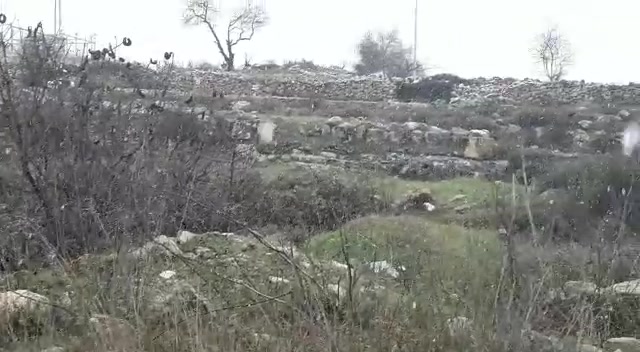 שלג הר חברון שמעון אסולין