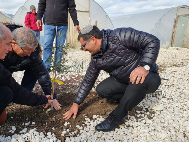 כך הולכים המועמדים: לפני הבחירות, יוצאים לנטיעות