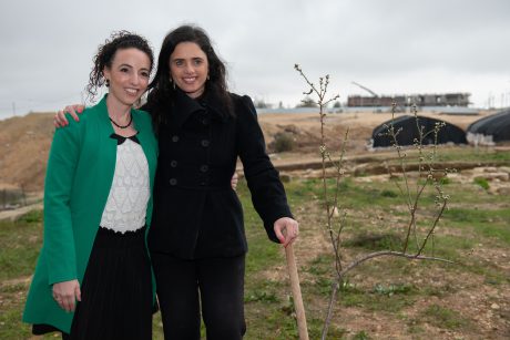 כך הולכים המועמדים: לפני הבחירות, יוצאים לנטיעות