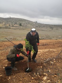 כך הולכים המועמדים: לפני הבחירות, יוצאים לנטיעות