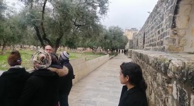 WhatsApp Video 2020-02-20 at 07.52.12