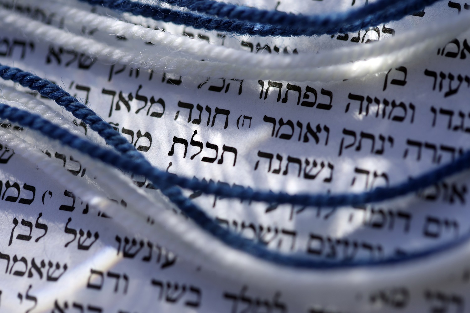 מכורים לתכלת? ענו על החידון וזכו בפרסים