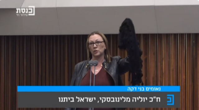 מלינובסקי: "אתה סיימת את זמנך" (קרדיט: ערוץ כנסת)