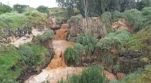 זרימה נחל חרוד