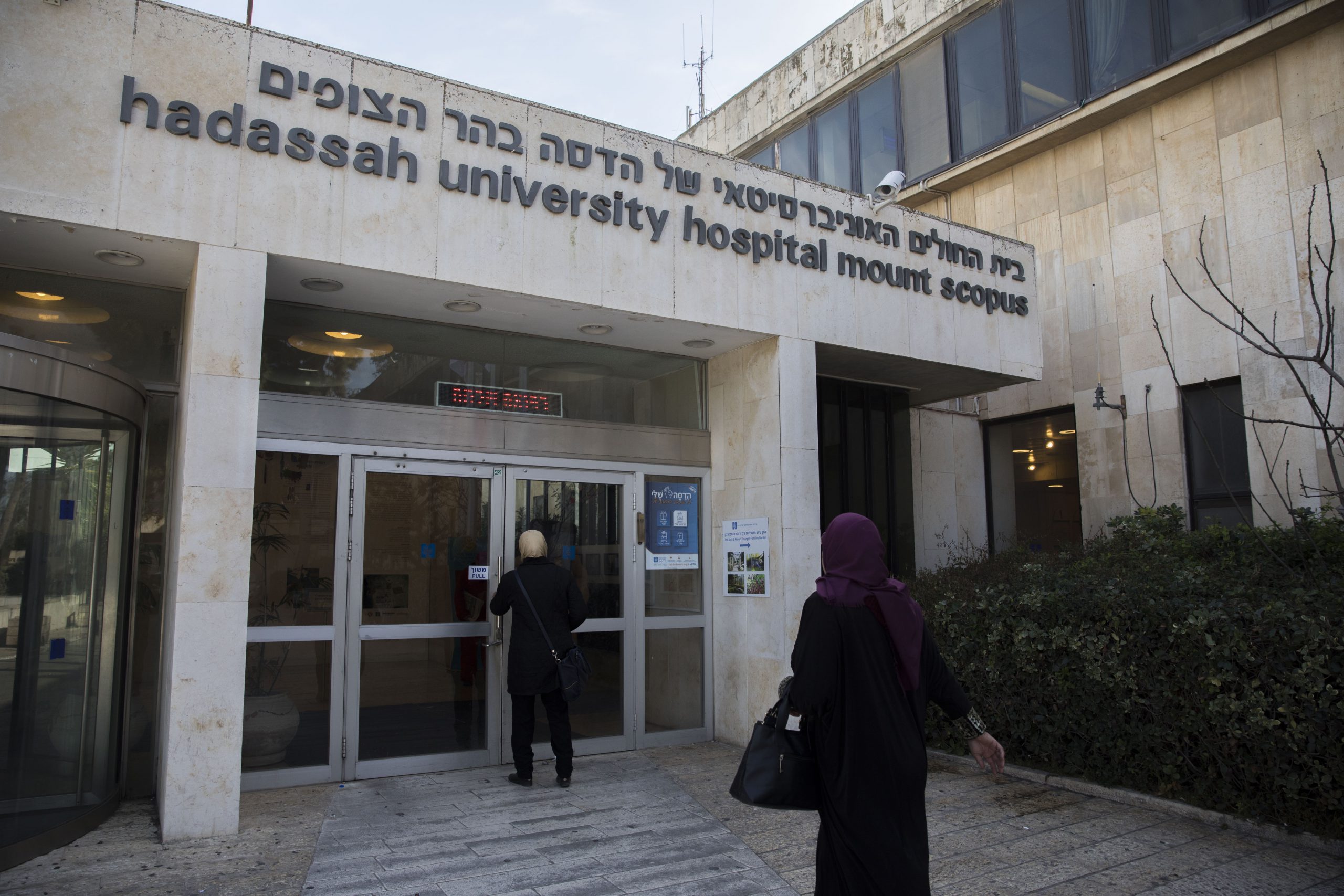 הדסה הר הצופים, אילוסטרציה