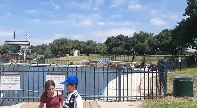 WhatsApp Video 2020-05-28 at 11.00.53