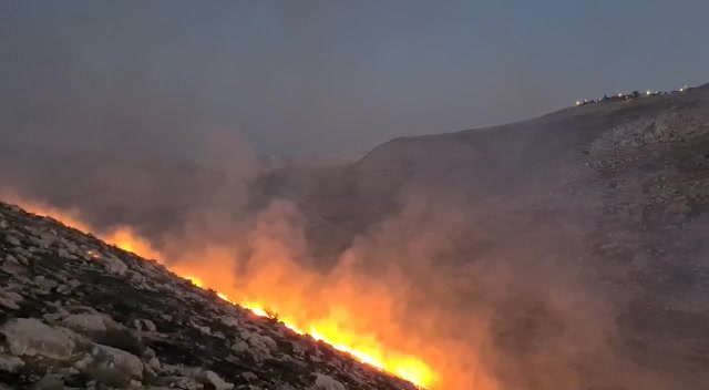 כוכב השחר