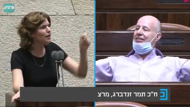 זנדברג הנגבי