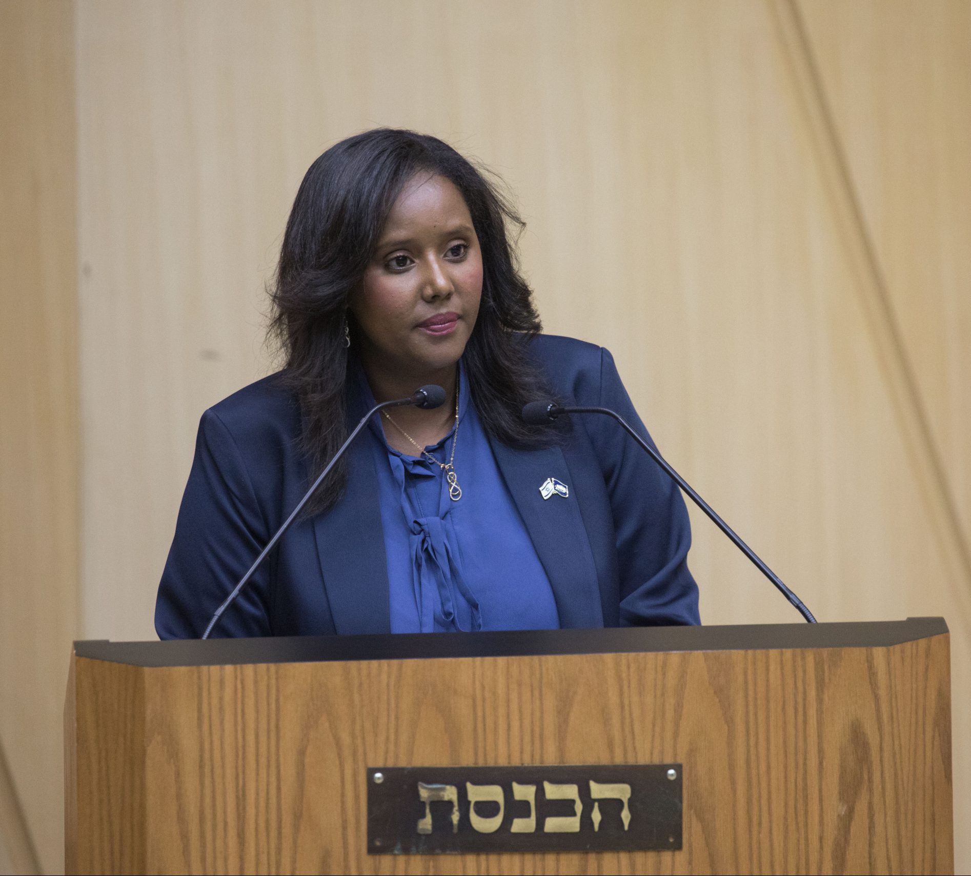 תמנו שטה
