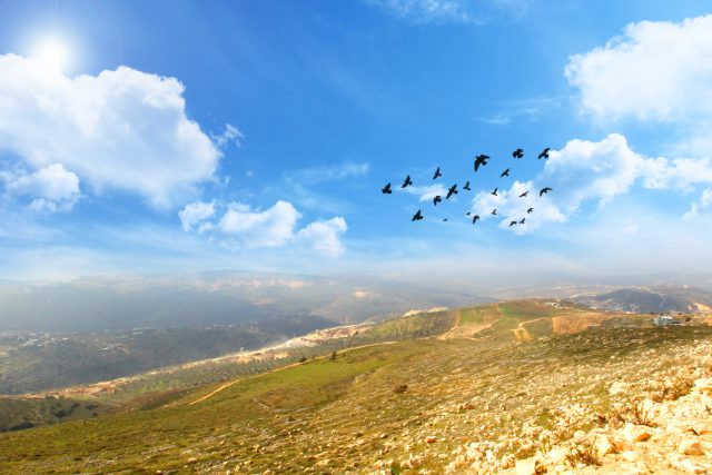 בפסגת ההר: רוח אחרת מנשבת ביישוב יצהר