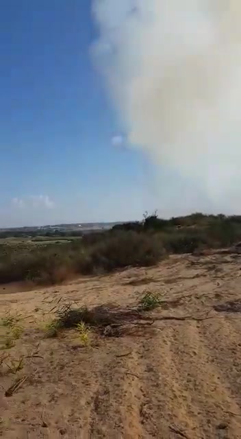WhatsApp Video 2020-08-11 at 09.54.47