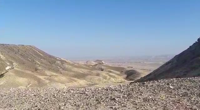 WhatsApp Video 2020-08-11 at 07.18.01