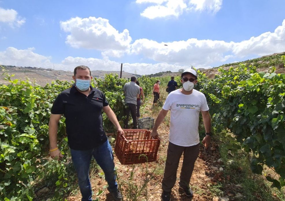 "הקורונה נקודתית, הריבונות לדורי דורות"