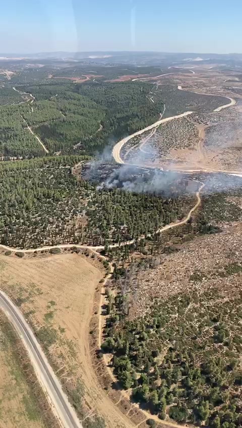 WhatsApp Video 2020-08-24 at 11.04.37