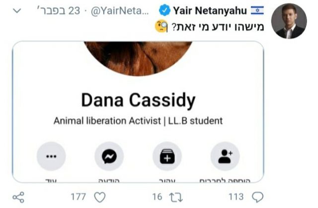 צילום מסך