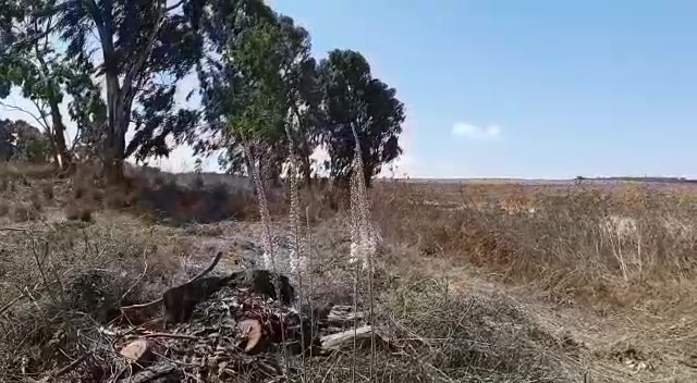סתיו