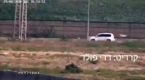 השליח הקאטרי דודי פלד