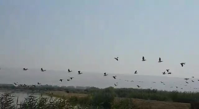 שקנאים עמק החולה