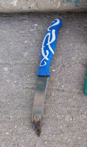 תמונת הסכין שאחז המחבל.