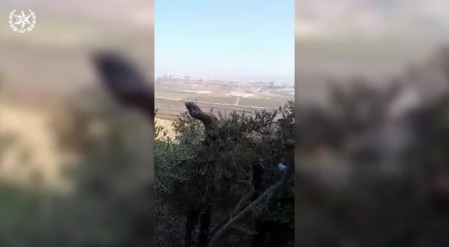 WhatsApp Video 2020-10-22 at 15.26.51