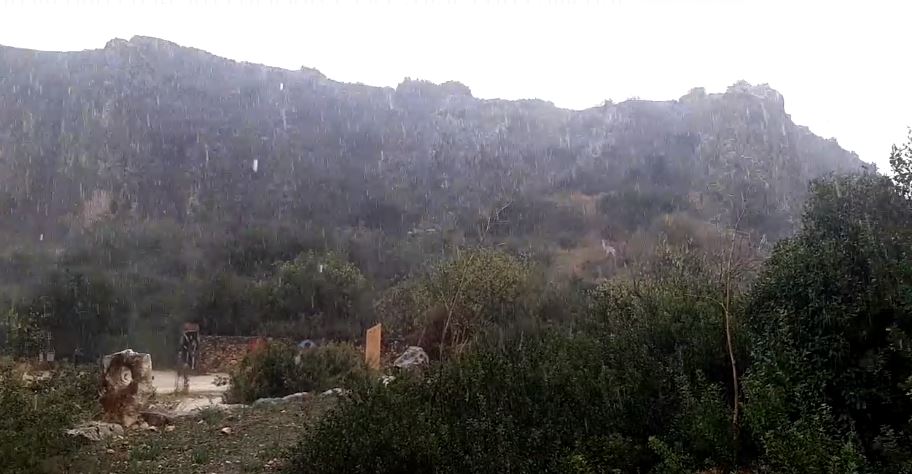 זה מתחיל | גשמים חזקים ברחבי הארץ. צפו בתיעוד
