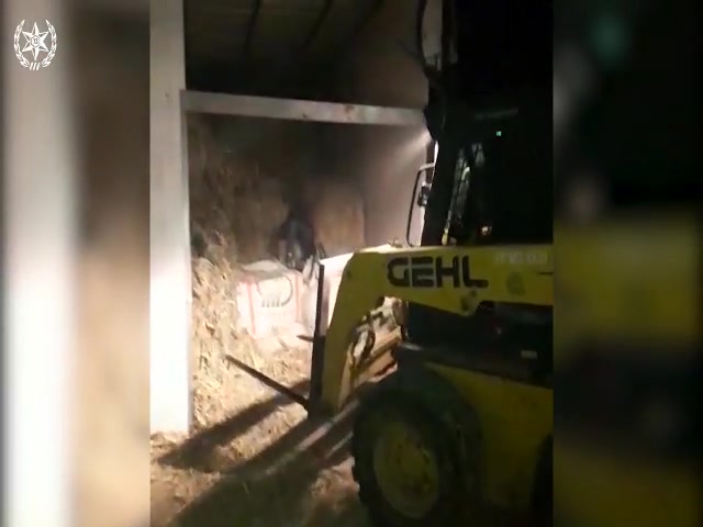 גניבת זיתים זרזיר דוברות המשטרה (1)