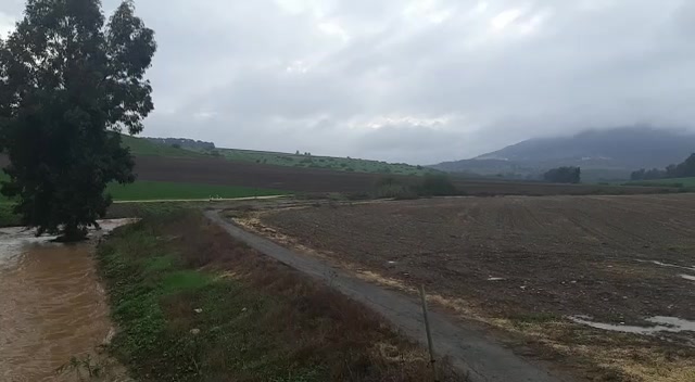 נחל תבור זורם חגי עוז רשות הטבע והגנים
