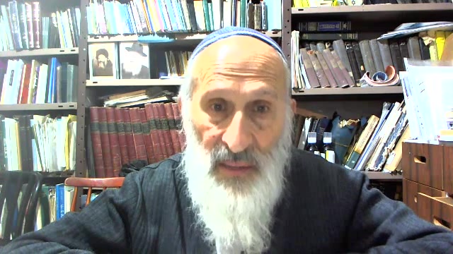 אבינר צבא
