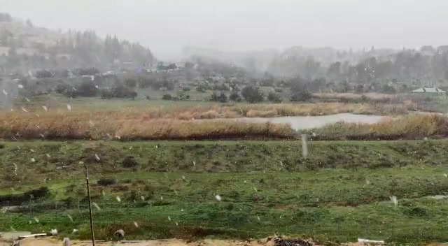 שלג בעמק הצבאים בירושלים. צילום – אבנר רינות, החברה להגנת הטבע