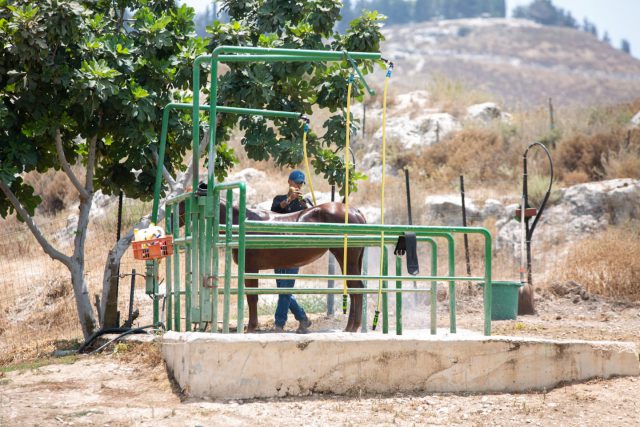 רטורנו – למצולמים אין קשר לנאמר בכתבה
