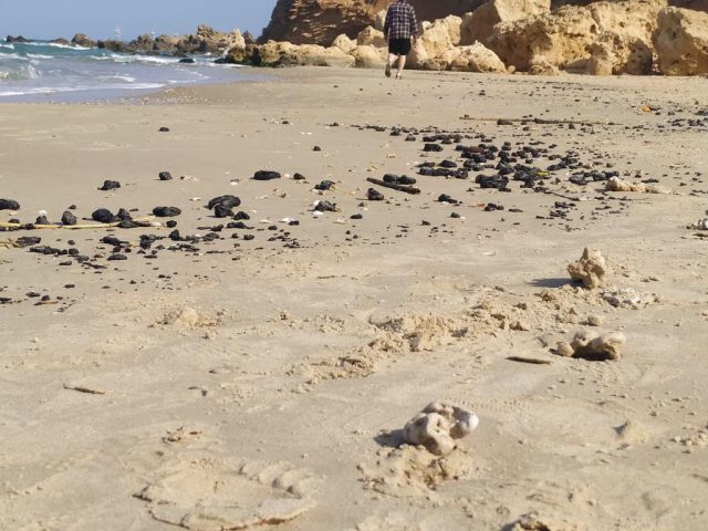 חוף גדור