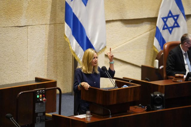 ח"כ חיימוביץ' מתוך הדיון במליאה