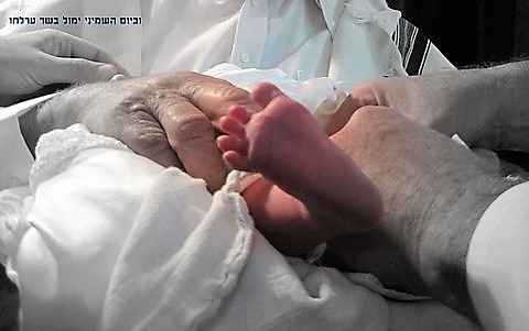 חומש מזווית אחרת: ספר ויקרא בתמונות