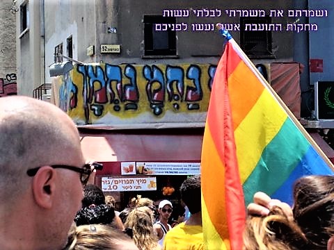 חומש מזווית אחרת: ספר ויקרא בתמונות