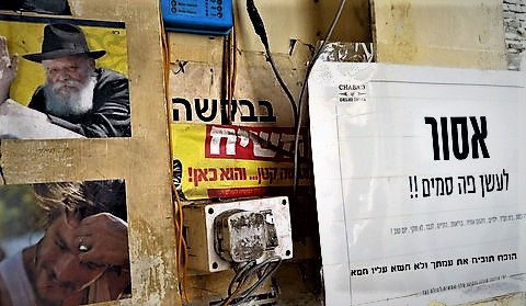 חומש מזווית אחרת: ספר ויקרא בתמונות