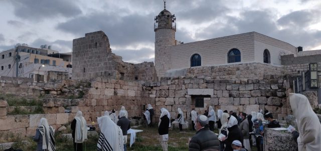 באדיבות: דוברות הר חברון